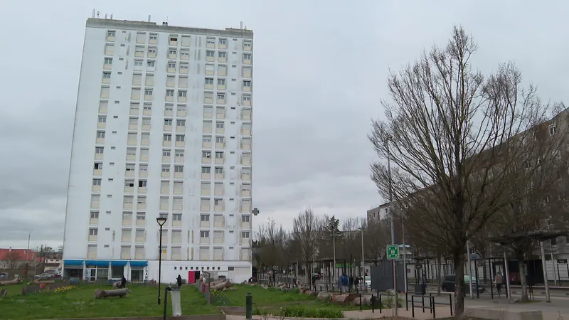 Un projet de restructuration du quartier Bellevue est en cours. Devant cet immeuble, une prairie de fleurs a &eacute;t&eacute; sem&eacute;e &agrave; l'emplacement de la place des Lauriers, pour a&eacute;rer le quartier.