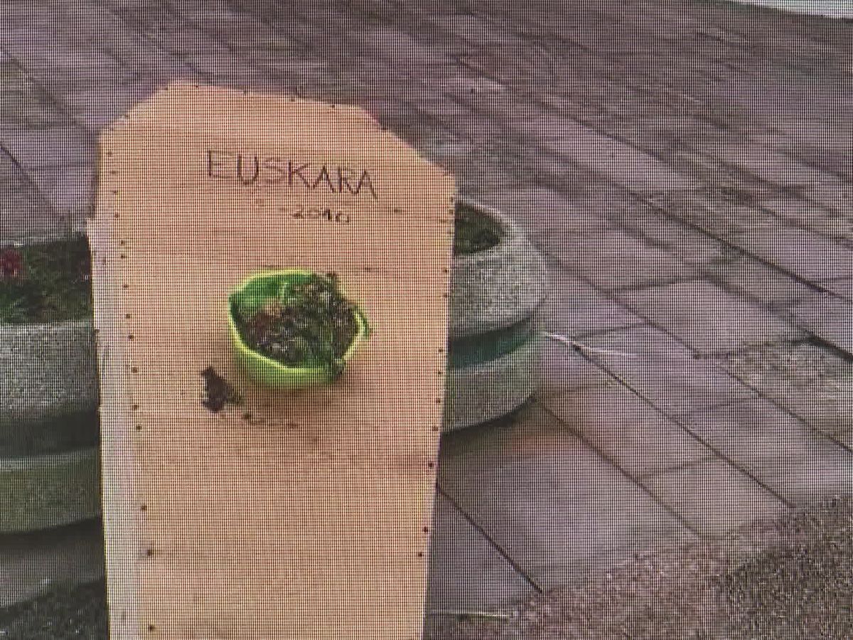 , &laquo;&nbsp;Je ne peux pas continuer dans ce climat de menaces et d&rsquo;insultes.&nbsp;&raquo; Une maire du Pays basque d&eacute;missionne apr&egrave;s 18 ans de mandat