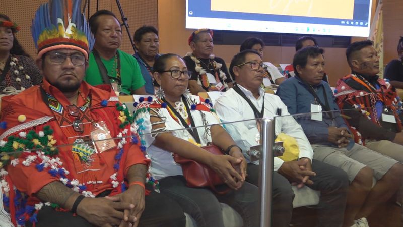 , R&eacute;solution sur la repr&eacute;sentation des peuples autochtones : Que contient le texte adopt&eacute; de justesse par les &eacute;lus de Guyane