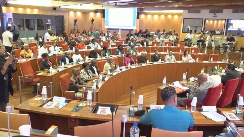 , R&eacute;solution sur la repr&eacute;sentation des peuples autochtones : Que contient le texte adopt&eacute; de justesse par les &eacute;lus de Guyane