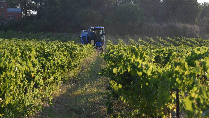 , Six vignerons auditionn&eacute;s pour s&rsquo;&ecirc;tre introduits au domicile du pr&eacute;sident des vins Pays d&rsquo;Oc, la col&egrave;re monte d&rsquo;un cran