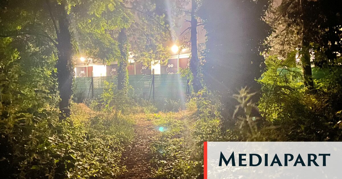 , Des militaires charg&eacute;s de s&eacute;curiser les JO accus&eacute;s d&rsquo;agressions homophobes