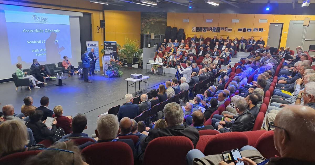 , Haute-Loire ZAN, agressions, carte scolaire&hellip; les maires en ont ras l&rsquo;&eacute;charpe
