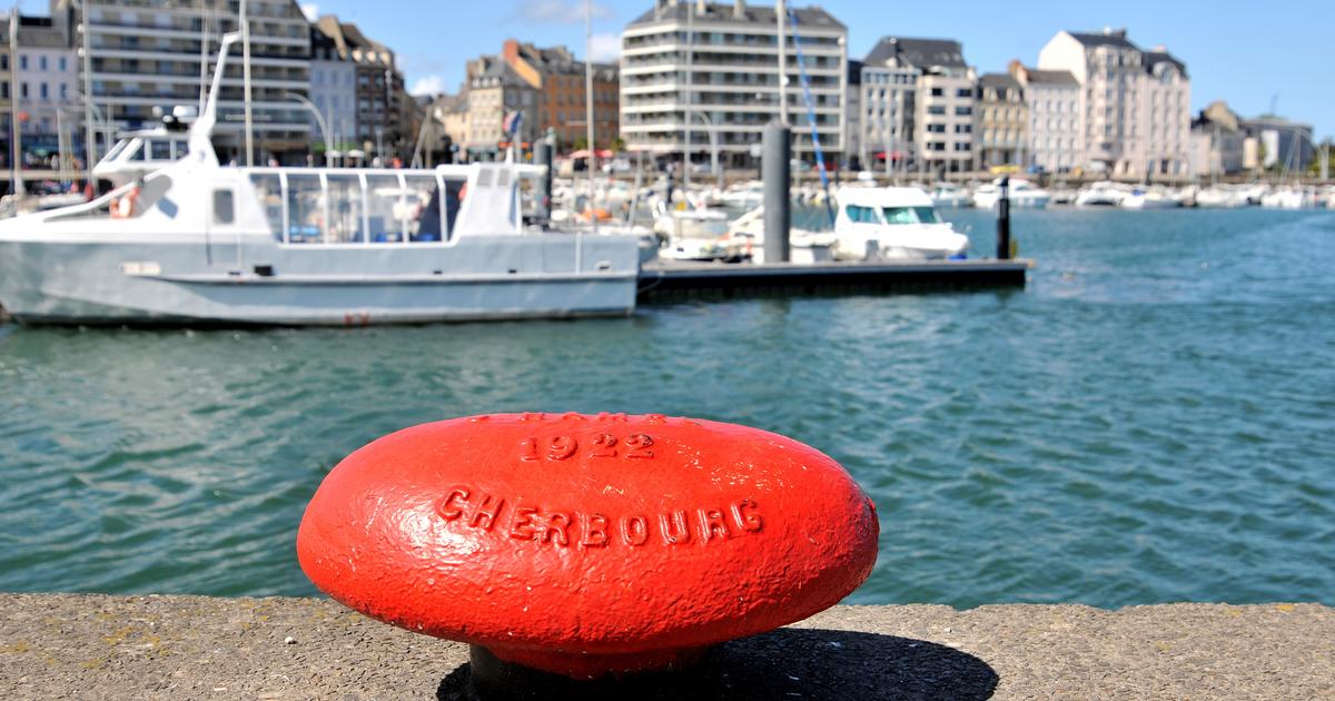 , &Agrave; Cherbourg, le candidat LR-RN violemment agress&eacute; par des &laquo;antifas&raquo;