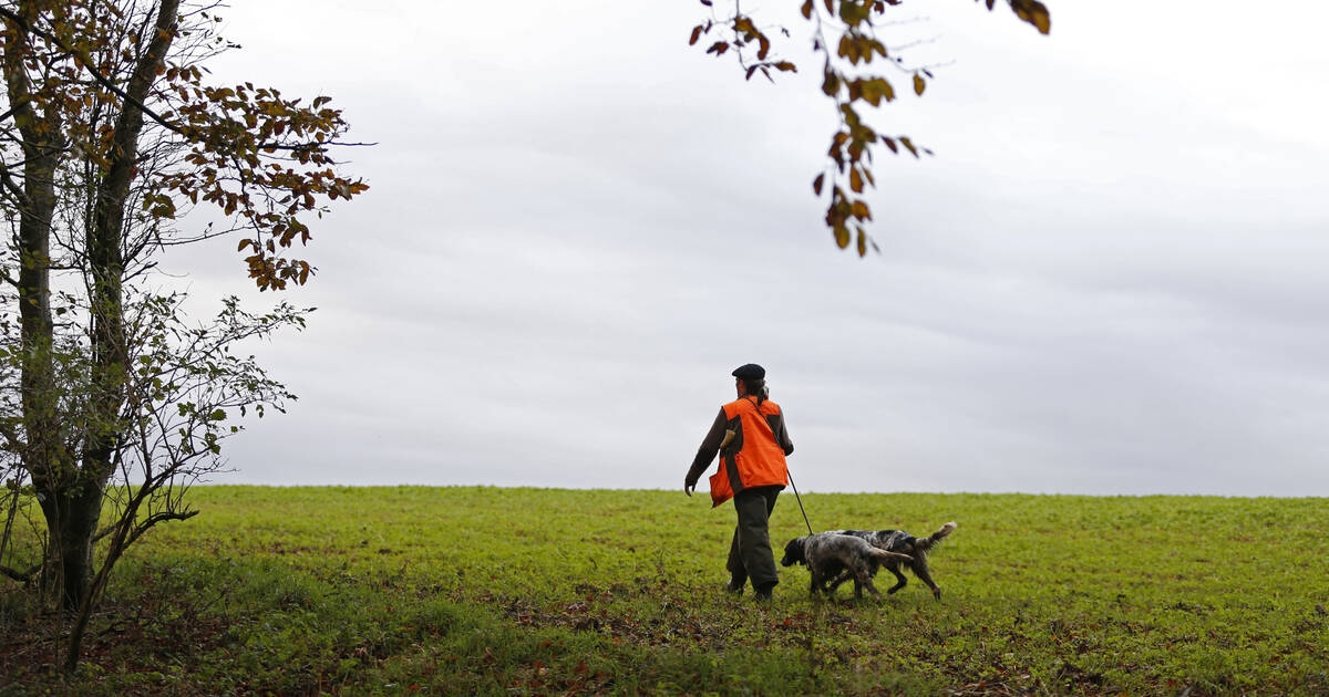 , Dans la Somme, un maire agress&eacute; par des chasseurs &agrave; qui il demandait de s&rsquo;&eacute;loigner des habitations