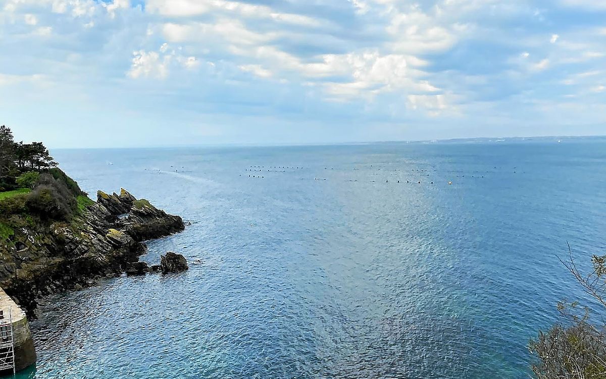 , Le maire et les commer&ccedil;ants inquiets pour les Moules de Groix