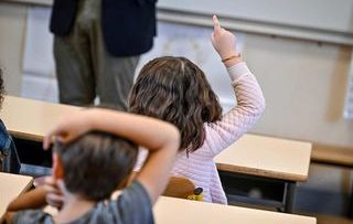 , Nice : Croyant &agrave; une insulte, une enseignante de maternelle exclut un &eacute;l&egrave;ve HPI qui avait prononc&eacute; le mot &laquo; nyctalope