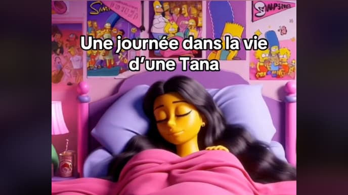 , &laquo;&nbsp;On retourne leur arme contre eux&nbsp;&raquo;: Tanaland, le pays imaginaire anti-masculiniste des r&eacute;seaux sociaux