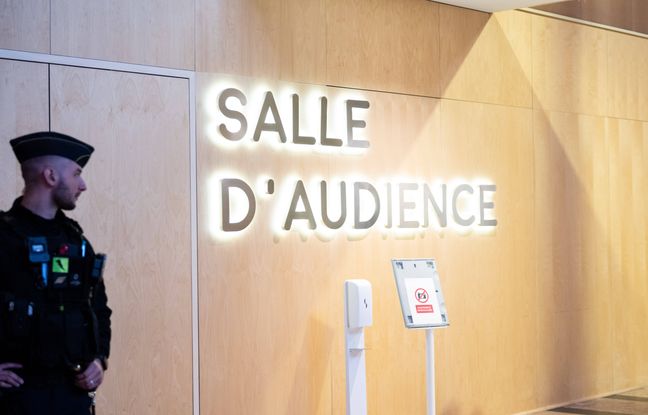 , Rh&ocirc;ne : Un ex-&eacute;lu en fuite en Alg&eacute;rie condamn&eacute; &agrave; quinze ans de prison pour viol, agressions et harc&egrave;lement sexuel