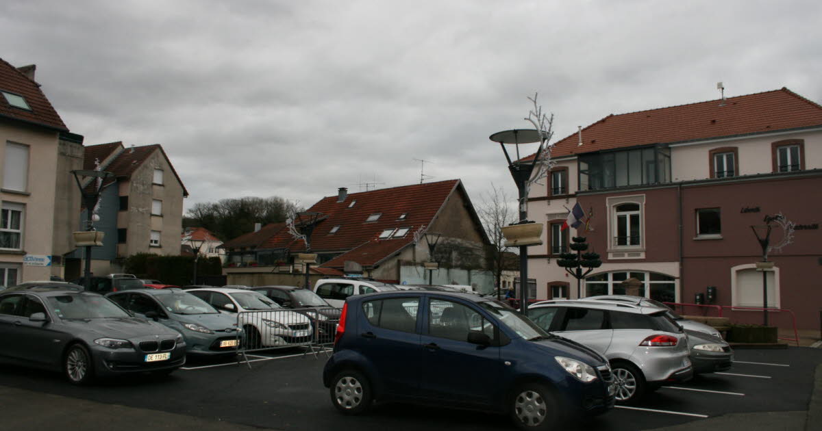 , Territoire de Belfort Un &eacute;lu agress&eacute; en promenant son chien : un adolescent de 17 ans interpell&eacute;