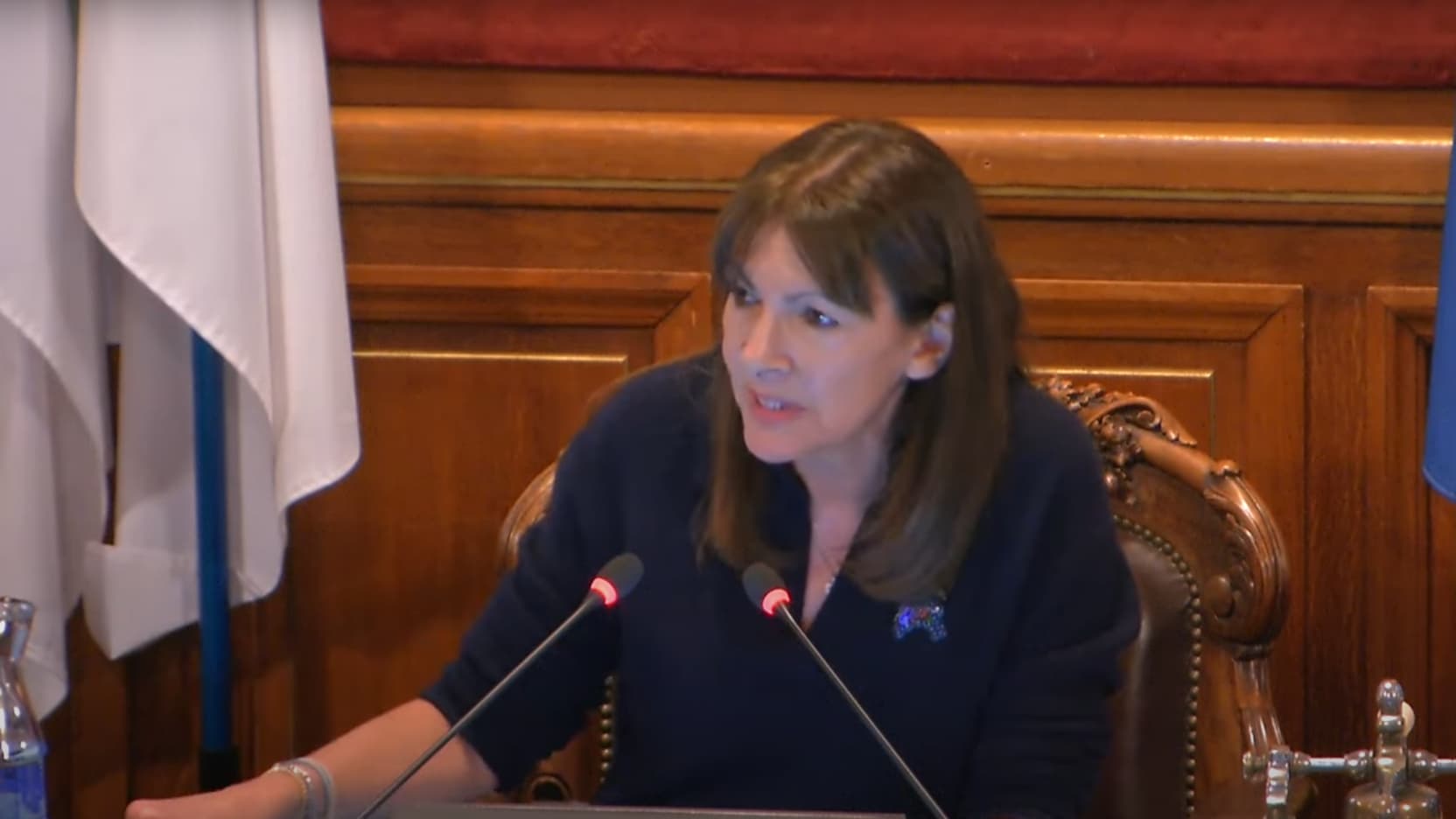 , Propos sur la mort d&rsquo;&Eacute;lias: le Conseil de Paris autorise la ville &agrave; d&eacute;poser plainte contre Nelly Garnier