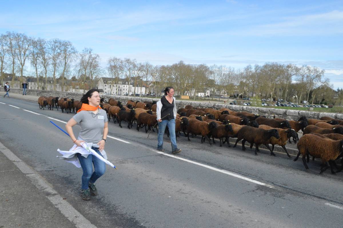 , Agression du rabbin, une bombe d&eacute;truite, victoire de l&rsquo;OLB… Le r&eacute;cap&rsquo; du week-end dans le Loiret
