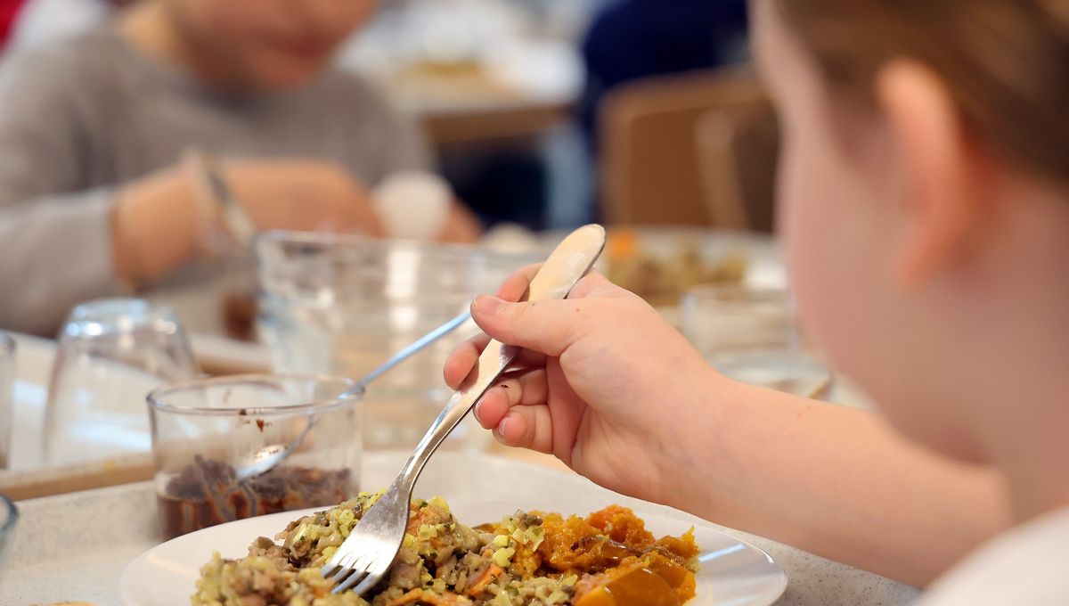 , Centre-Bretagne : une &eacute;lue de Ma&euml;l-Carhaix poursuivie pour violences sur des enfants &agrave; la cantine