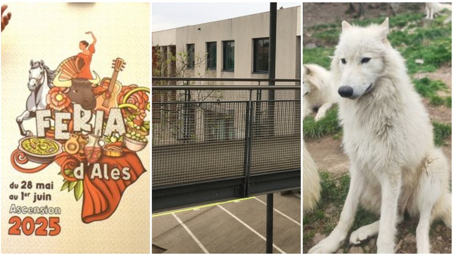 , Record du monde de Cheu-Cheu, agression sexuelle au coll&egrave;ge de Frontignan et 40 ans des loups du G&eacute;vaudan… l&rsquo;essentiel de l&rsquo;actu en r&eacute;gion