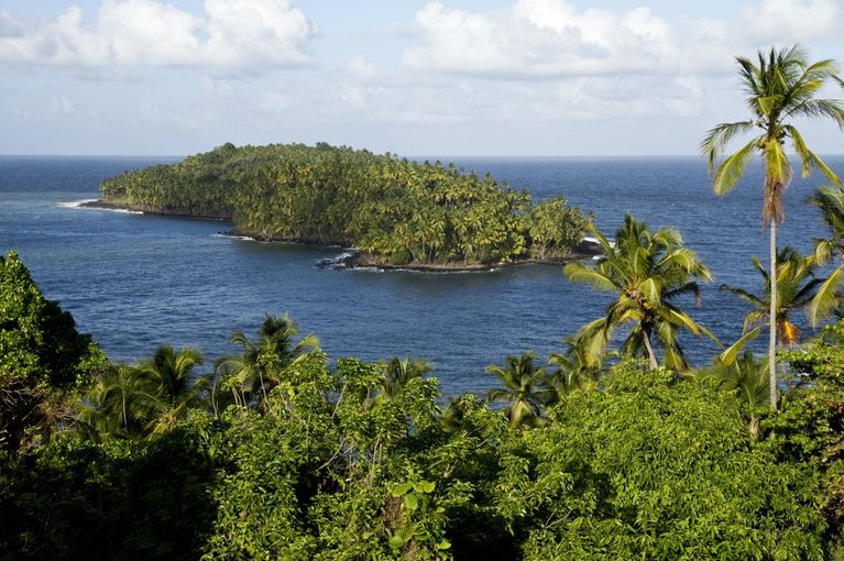 L'Ile du Diable, o&ugrave; f&ucirc;t intern&eacute; le capitaine Alfred Dreyfus apr&egrave;s sa condamnation, en 1894, pour espionnage au profit de l'Allemagne. - Jody AMIET / AFP