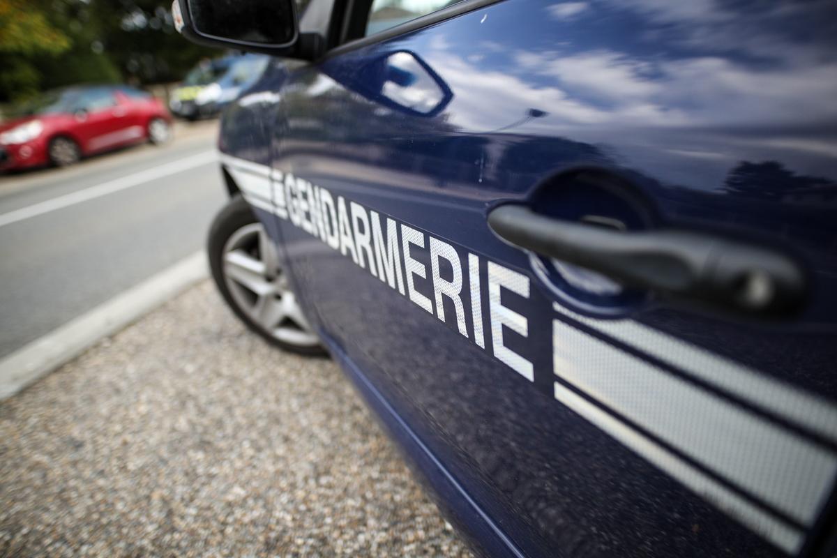 , Agression en Charente-Maritime : il insulte la maire de Cozes et gifle un agent de la commune