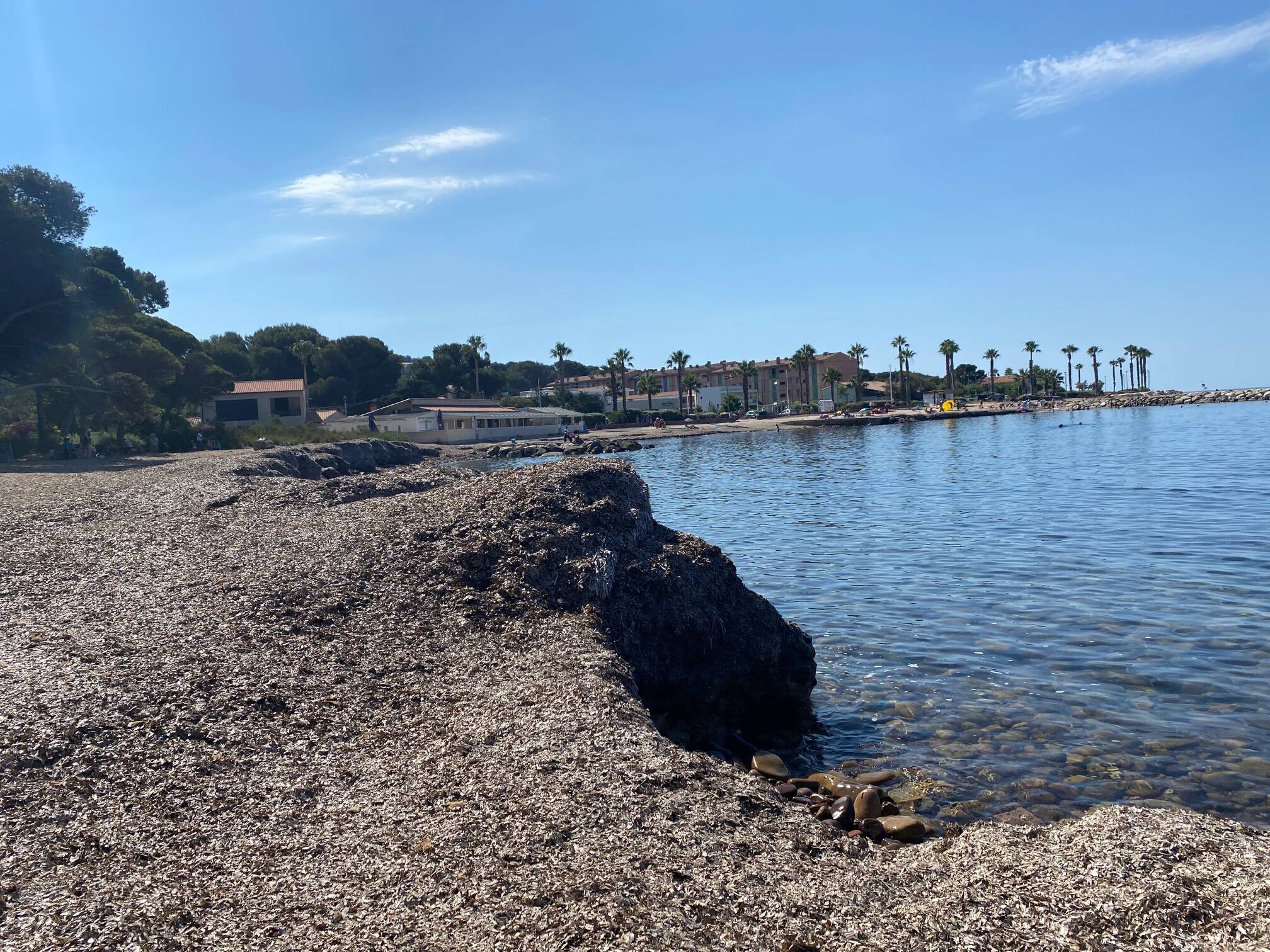 , Envahie par les posidonies, cette plage de Saint-Mandrier est au c&oelig;ur d&rsquo;une pol&eacute;mique entre le maire et son opposition
