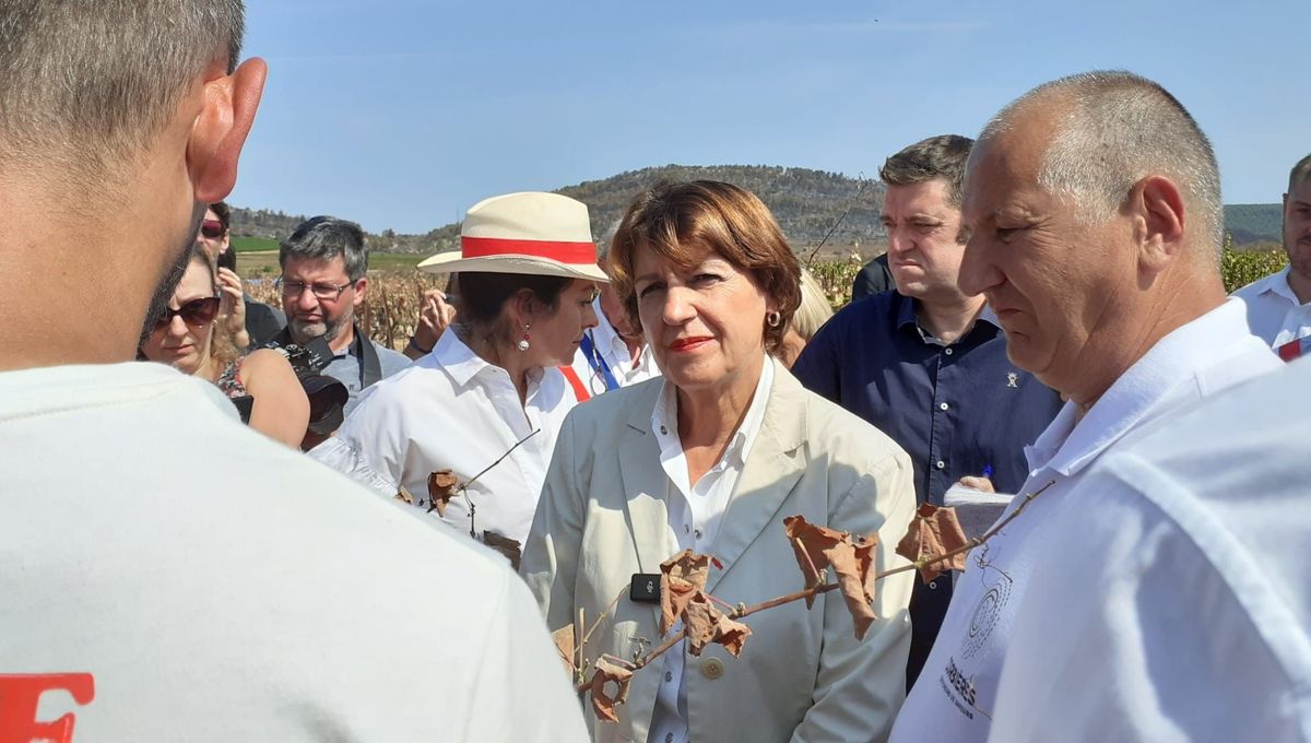 , Sur les vignobles sinistr&eacute;s par l&rsquo;incendie dans l&rsquo;Aude, la ministre de l&rsquo;Agriculture exprime &laquo;&nbsp;la solidarit&eacute; nationale&nbsp;&raquo;