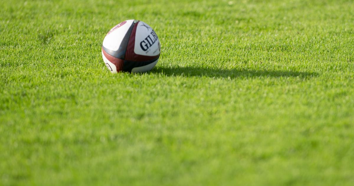 , &laquo;Guet-apens&raquo;, coups de poing, &laquo;salves de cailloux&raquo;… Des joueurs amateurs du Nissa Rugby attaqu&eacute;s apr&egrave;s leur entra&icirc;nement