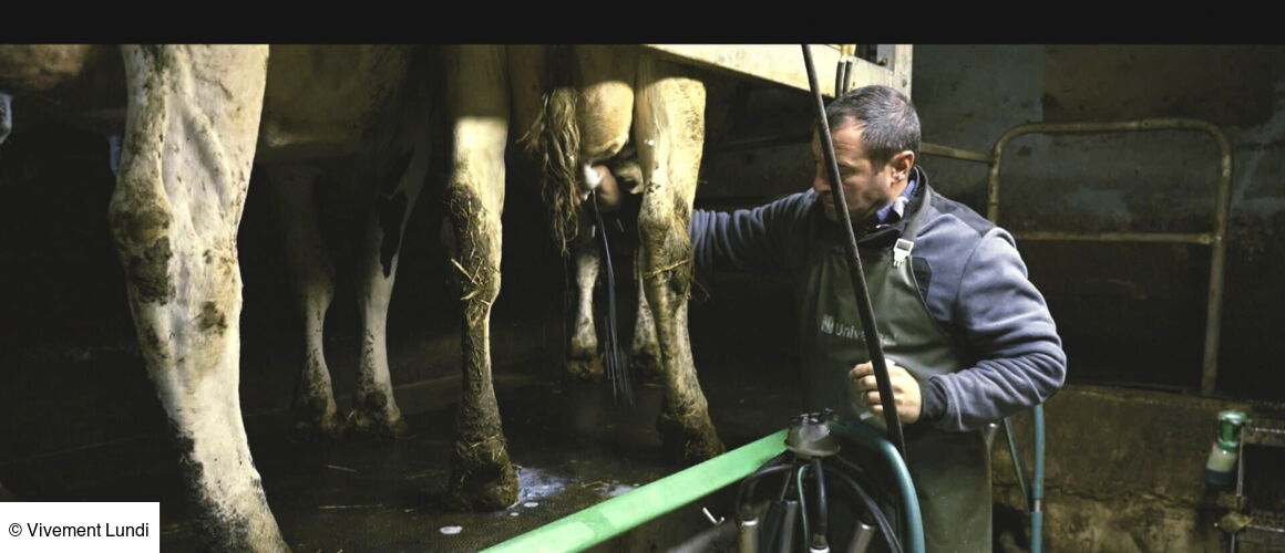 , Violence dans les champs