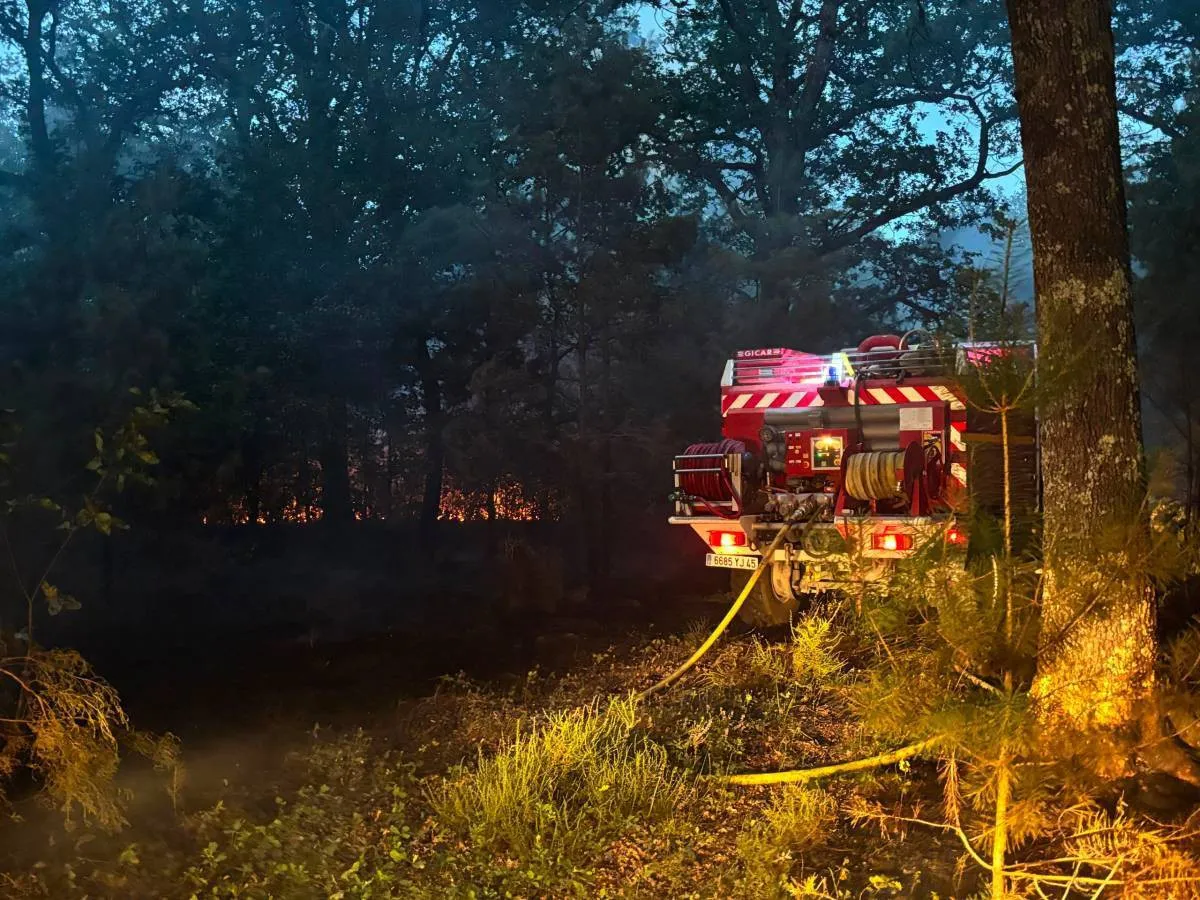, Maire agress&eacute;, important feu de for&ecirc;t, cons&eacute;quence de la canicule… Le r&eacute;cap&rsquo; du week-end dans le Loiret
