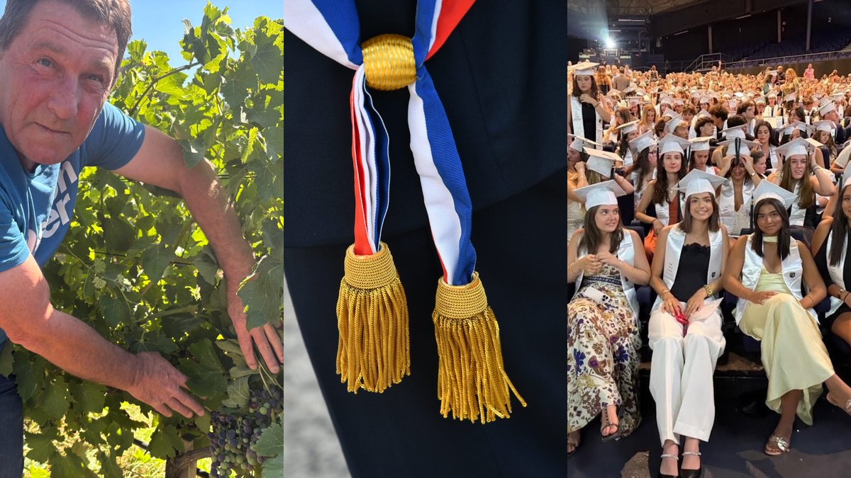 , Des vendanges qui s’annoncent précoces, un maire violemment agressé, une bachelière « championne » de France : l’essentiel de l’actu en région