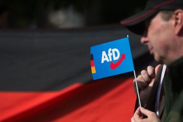 Un député régional de l'Alternative pour l'Allemagne (AfD), Michael Meister, a été blessé mercredi soir lors d'une agression.