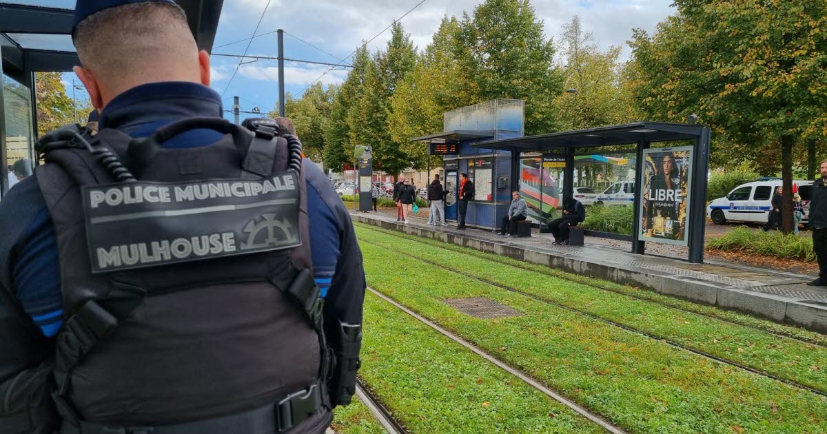 , Alsace Agression à la machette au centre-ville de Mulhouse : l’auteur interpellé était connu de la justice